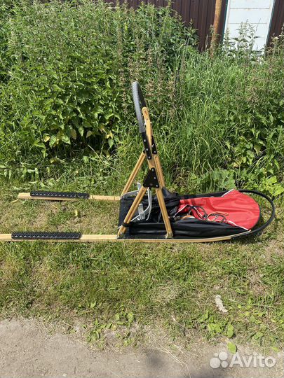 Нарты для собак