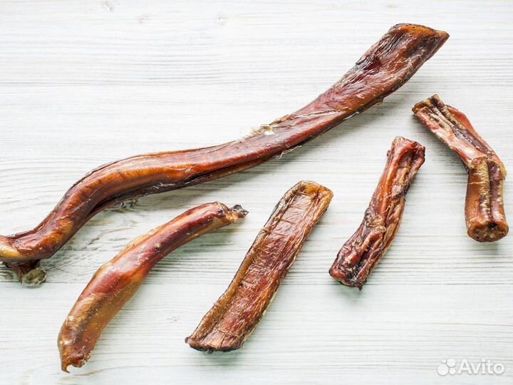 Корм для собаки. Проверено временем