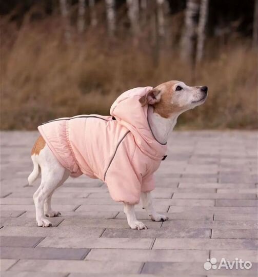 Куртка для собак мелких пород