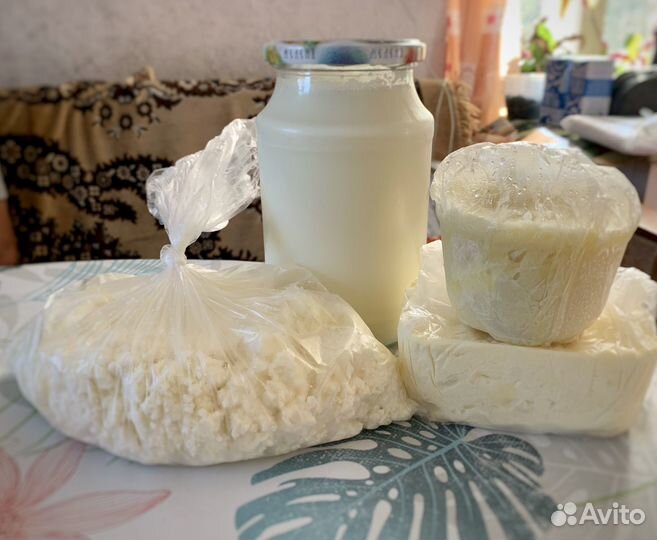 Молоко сыр творог масло сметана сливки сыворотка