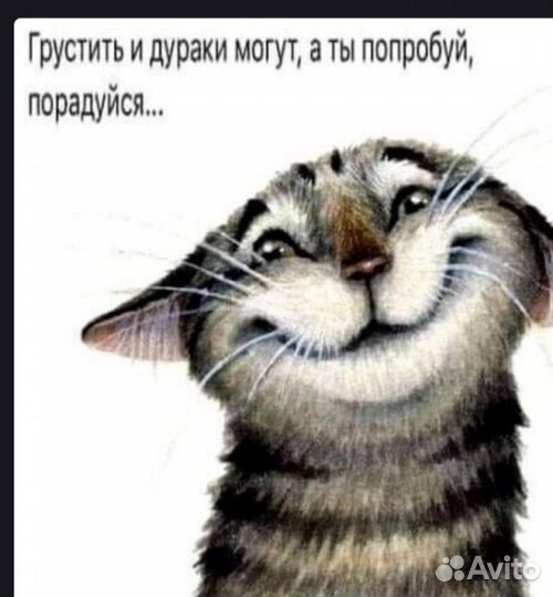 Вязка.Персидский экзот