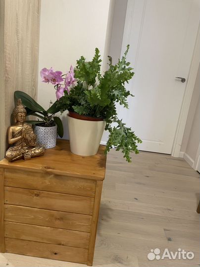 Закрытый кошачий туалет, новый