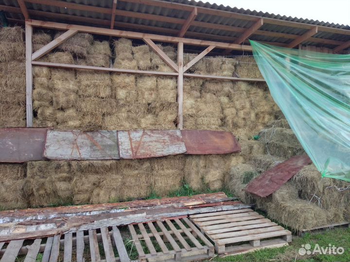 Сено в тюках