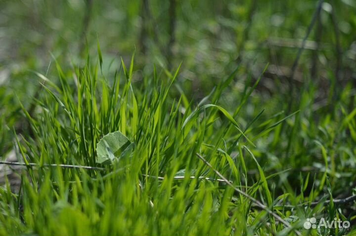 Объектив Индустар-61 Л/З, Индустар-69