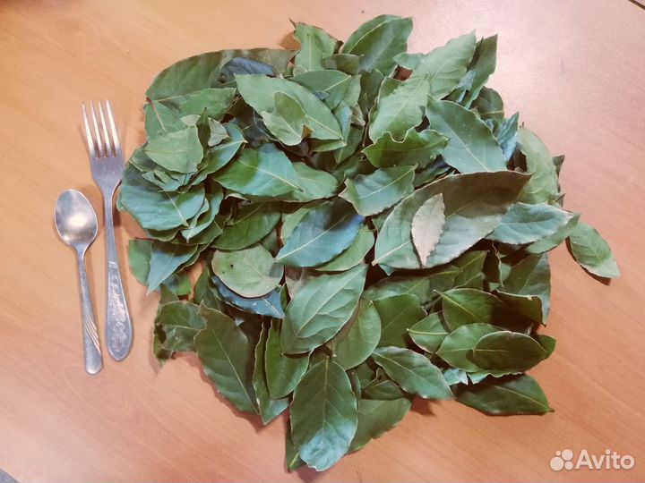 Лавровый лист