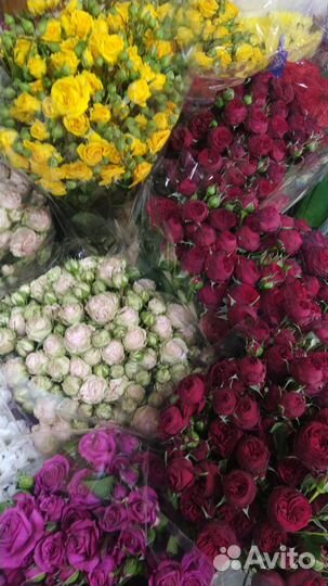 Цветы Сургут, Свежие цветочки со склада