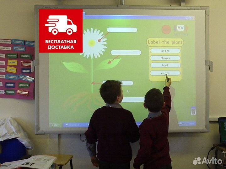 Интерактивная доска Donview c доставкой