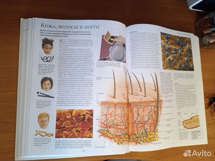 Большая иллюстрированная энциклопедия эрудита