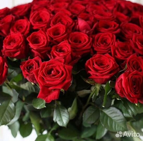 Высокие розы, букеты, цветы Доставка