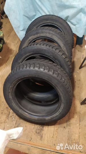 Gislaved Nord Frost 5 205/55 R16