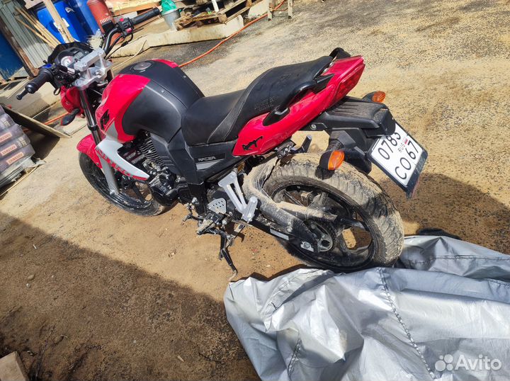 Racer RC250CK
