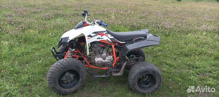 Kayo tor 250