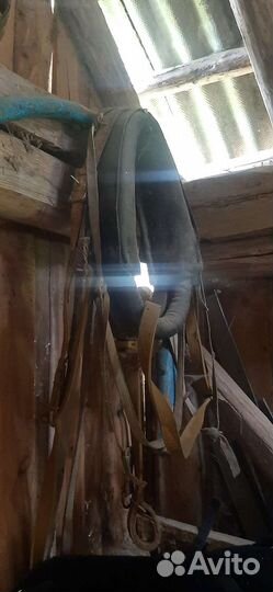 Конская упряжь