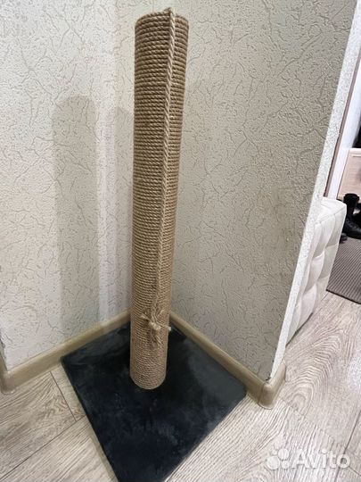 Когтеточка для кошек