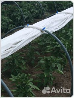 Парник тоннельного типа