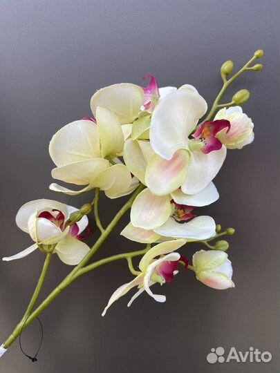 Искусственная ветка орхидеи