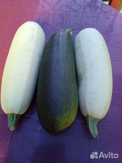 Кабачки свежие