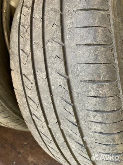 Rapid P309 205/55 R16