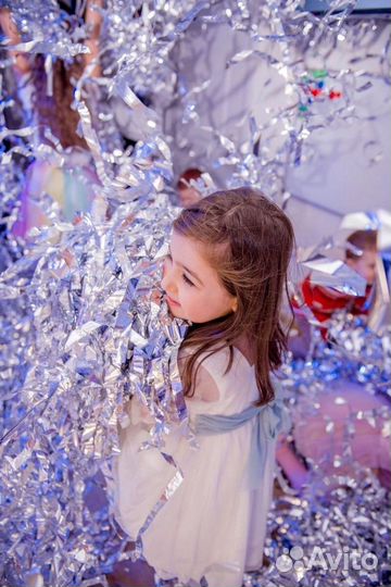 Аниматор, Шоу, Квесты, Караоке, Оформление