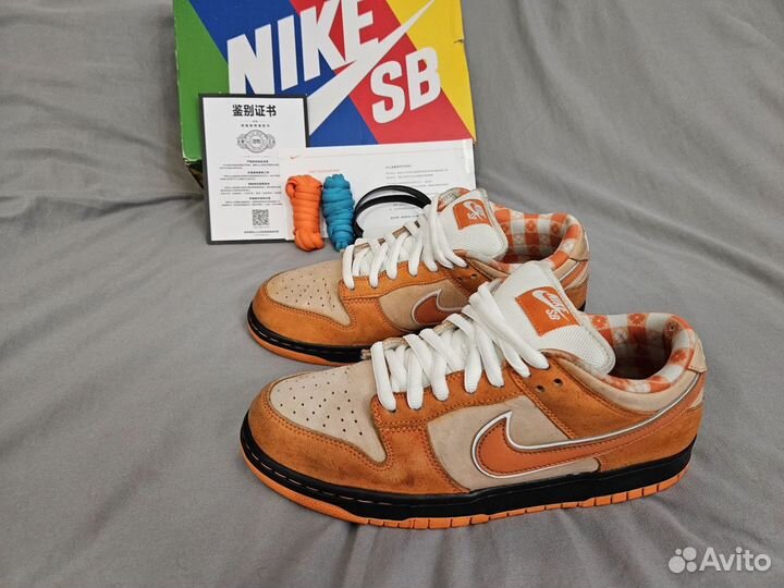 Nike SB Dunk Low Concepts Orange Lobster Оригинал