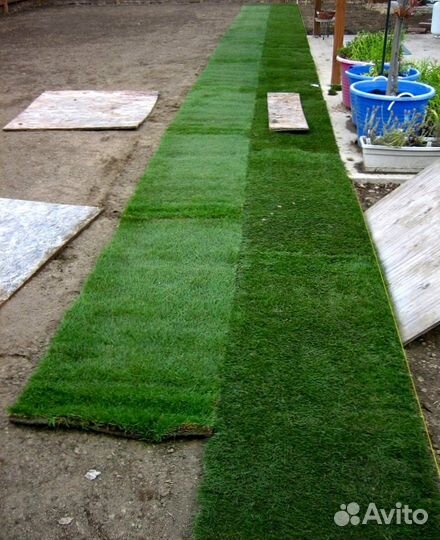 Рулонный газон - газон с укладкой