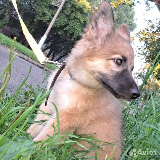 Неизвестно