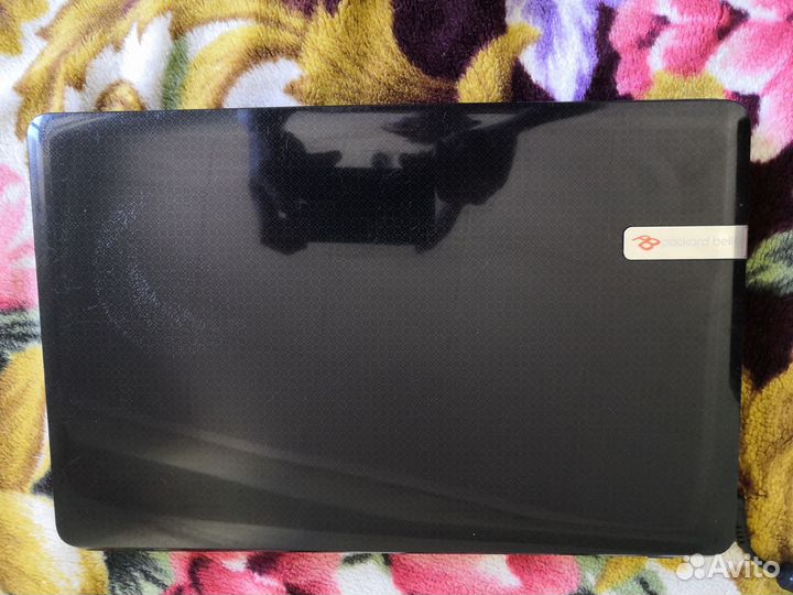 Ноутбук packard bell
