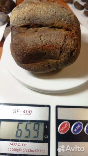 Окаменелое дерево