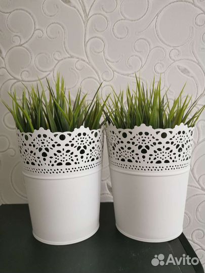 Икеа skurar 2 шт кашпо суккуленты