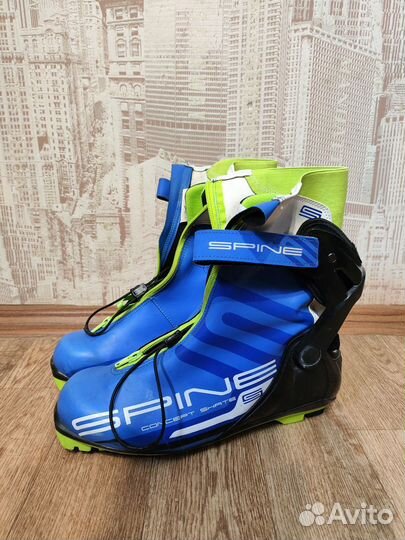 Spine concept skate pro