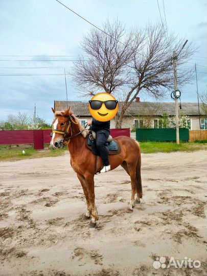 Продам кобылу