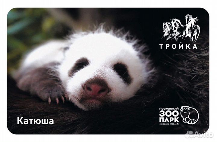 Карта Тройка детёныш панды Московский зоопарк