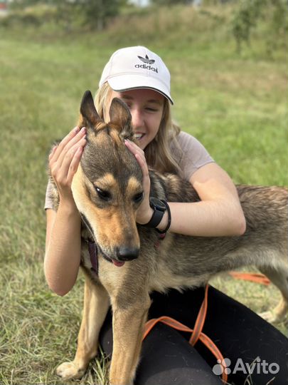 Луна. Невероятно ласковая щенуля из приюта