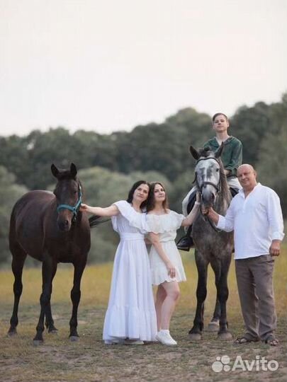 Катание на лошадях, занятия, фотосессии, выезды