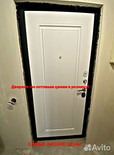 Толстая дверь входная с зеркалом с бесплатной уста