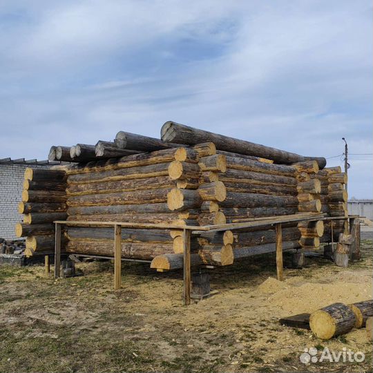 Сруб дома из бревна