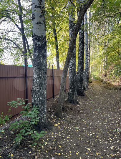 Дом 18 м² на участке 11 сот.