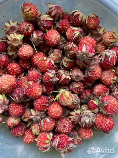 Варенье земляника, малина, клубника