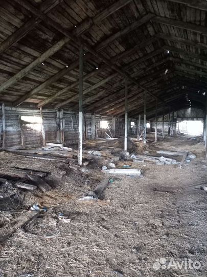 Отдам дрова бесплатно