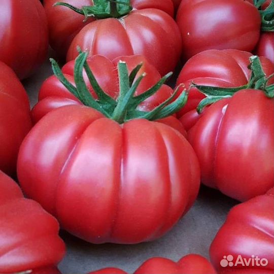 Семена томата Розо Паво F1 (Испания)
