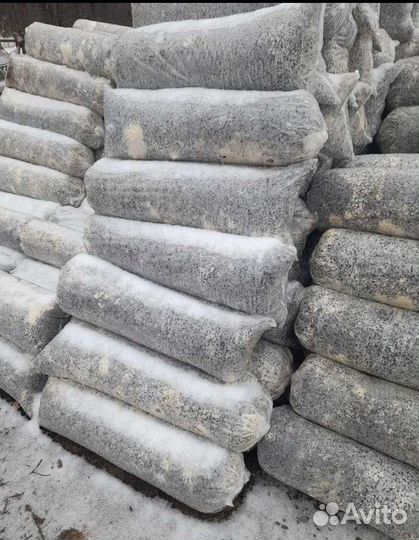 Грибные блоки вешенка