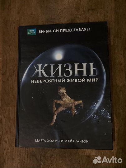 Книга Марта Холмс 