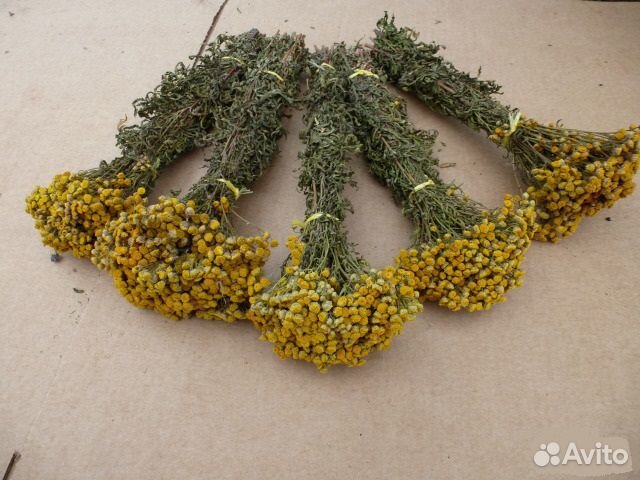 Травы для бани и сауны