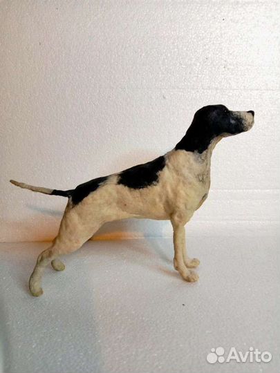 Собака. Пойнтер