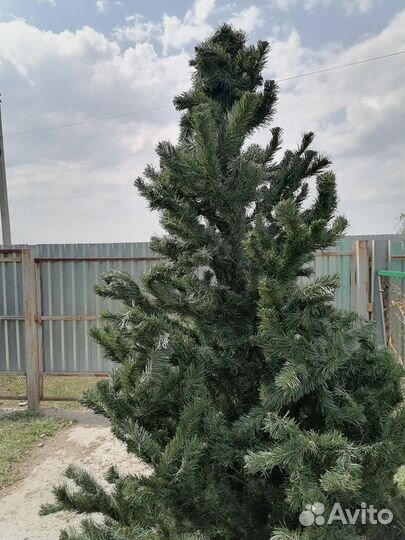 Елка новогодняя