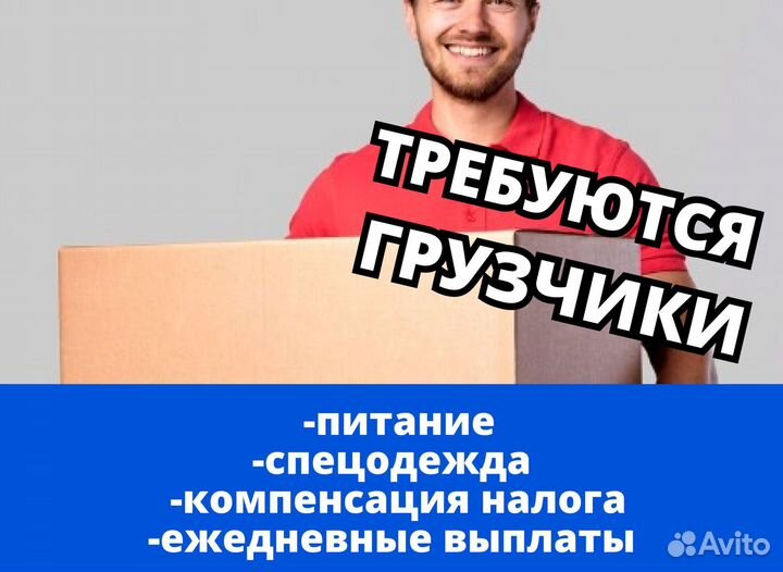 Грузчик с ежедневной выплатой.ks760