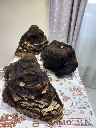 Чага чаге рознь