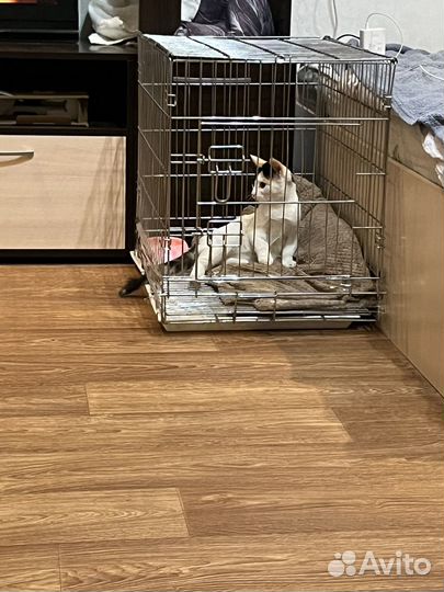 Клетка для кошек