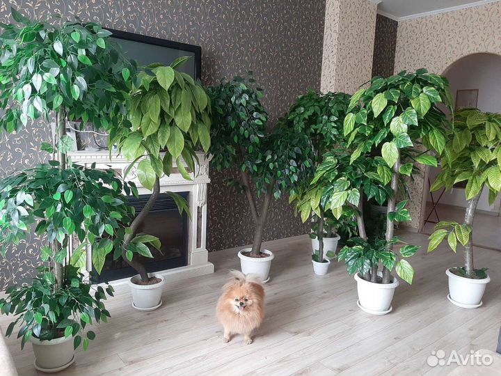 Искусственные деревья в горшке