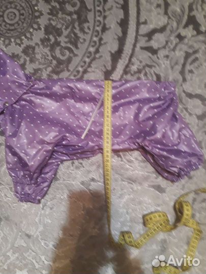 Одежда для маленькой собачки